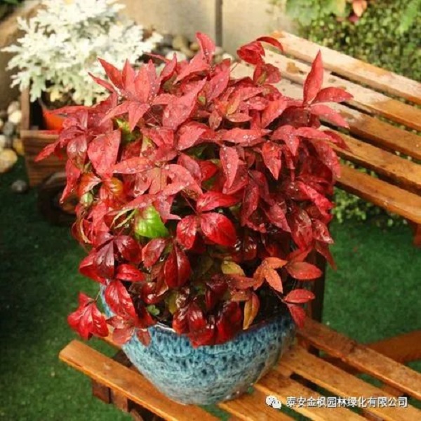 微信圖片_20220723161355.jpg 微信圖片_20220723161355.jpg