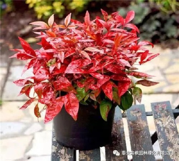 微信圖片_20220723161406.jpg 微信圖片_20220723161406.jpg