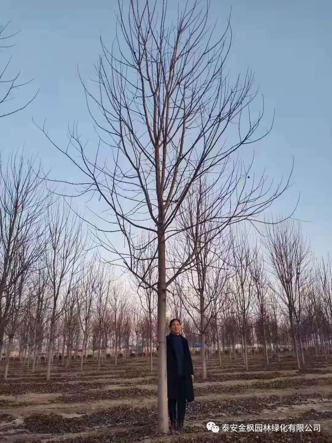 微信圖片_20230130101818 微信圖片_20230130101818